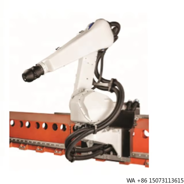 Robot Gripper - Otomotiv Boyama Hücresi Uygulamaları için Geniş